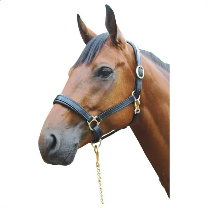 Licol doubl cuir - Canter - marron - poney (pony ) Livraison Gratuite