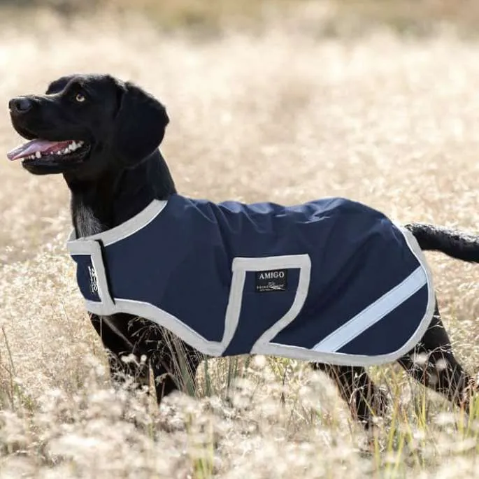 Remise Manteau Chien Amigo Dog Rug Ripstop 600D - Horseware - figue - 76 cm