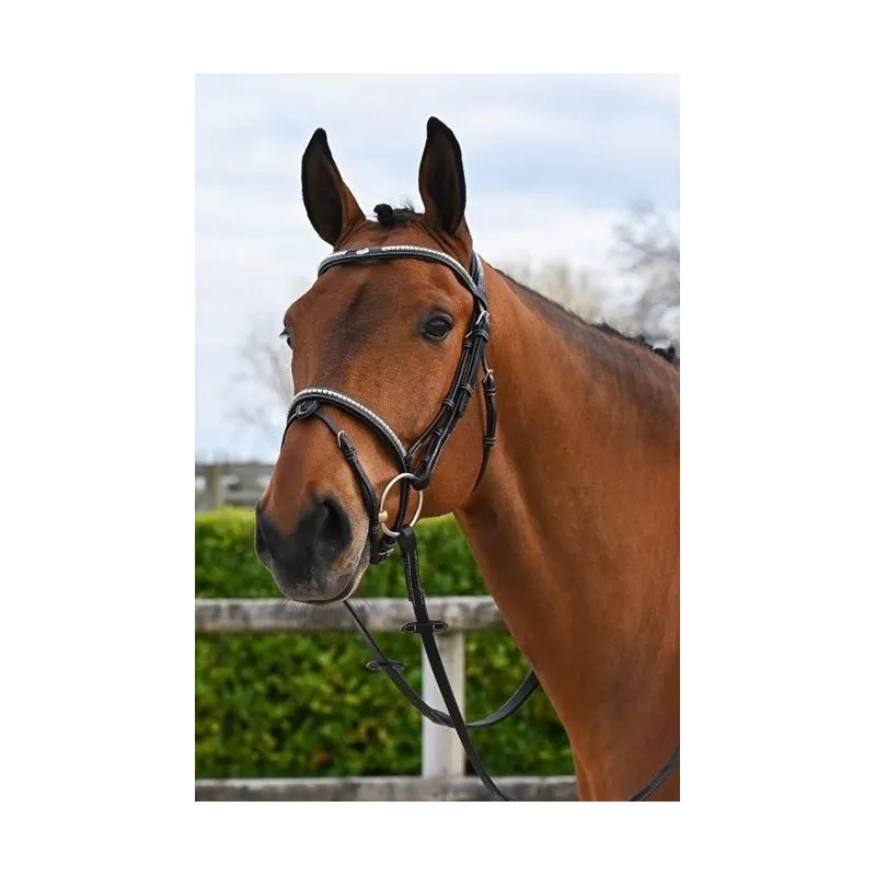 JUMPIN – Bridon Clincher – Collection Origin – Cob – Noir Solde