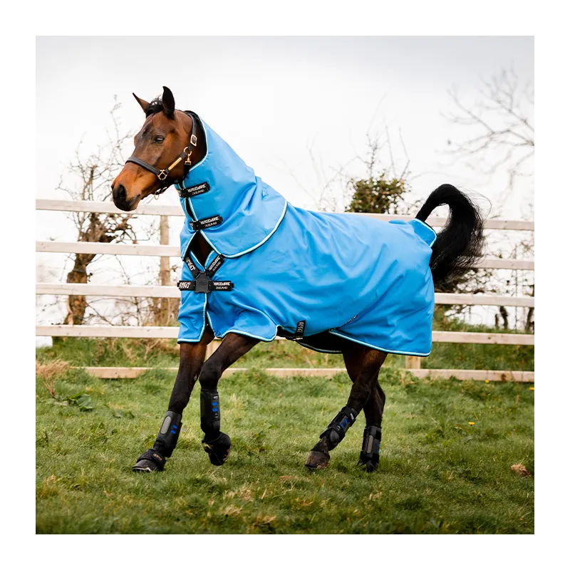 Retour Gratuit HORSEWARE - Couverture Amigo Hero 900 Plus Disc Front Med 200 gr - 5'6 (115 cm ) - Bleu / Blanc - 200 gr