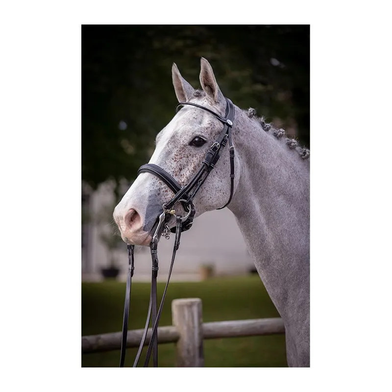 JUMPIN – Bride de dressage vernie – Collection Week – Cheval – Noir Offre Spciale