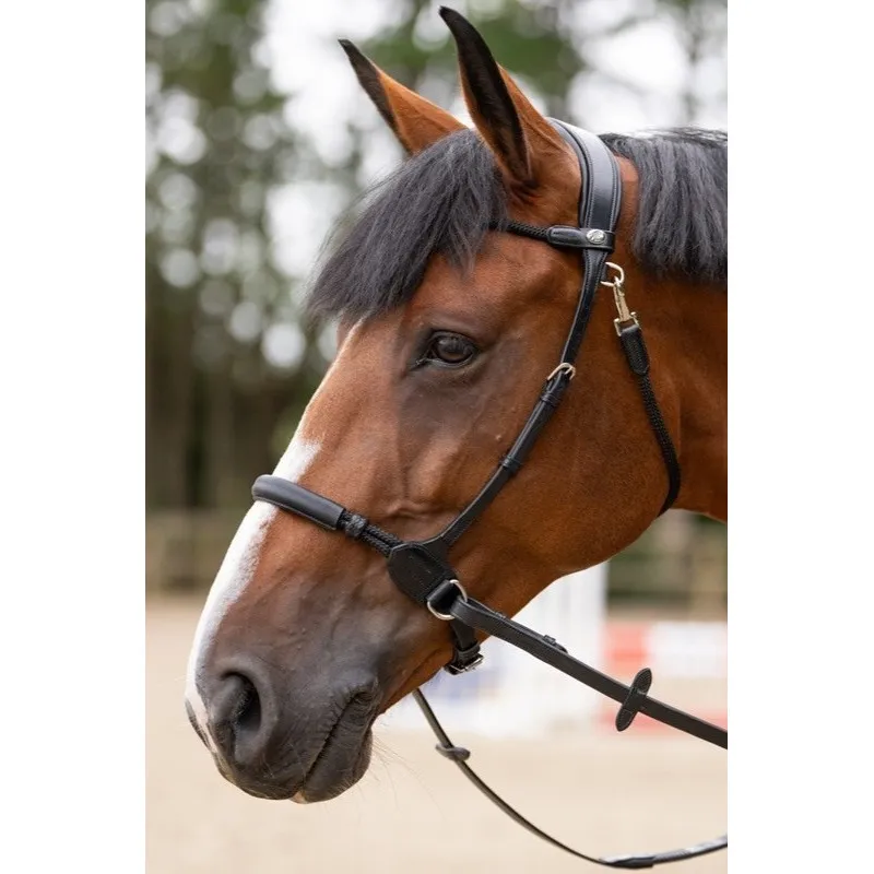 JUMPIN – Bridon Bitless – Collection Origin – Cob – Noir Pas Cher
