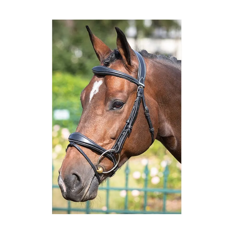 Vente Directe JUMPIN – Bridon Bruxelles – Collection One – Cob – Noir