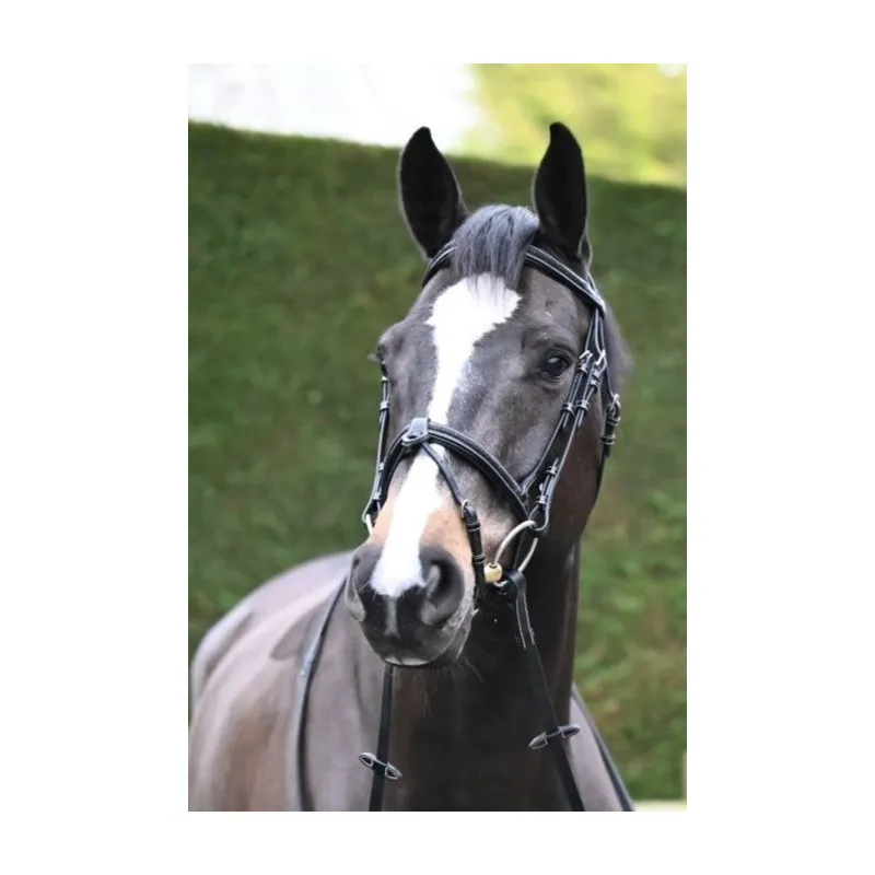JUMPIN – Bridon Crystal – Collection Week – Cob – Noir Rduction