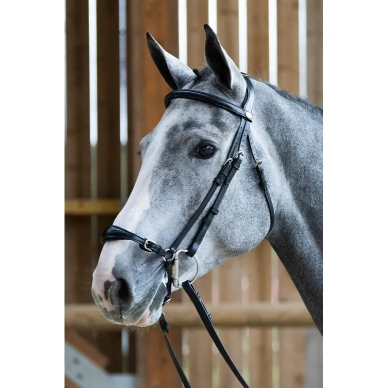 JUMPIN – Bridon volution muserolle allemande – Collection Origin – Cob – Noir Achetez Aujourdhui