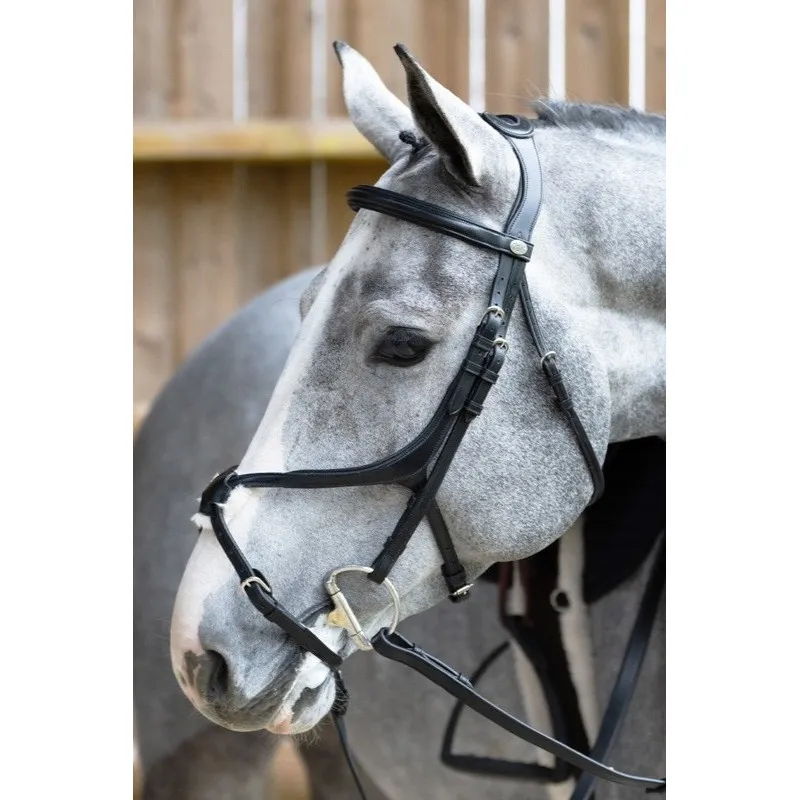 Bon March JUMPIN – Bridon volution muserolle croise – Collection Origin – Cob – Noir