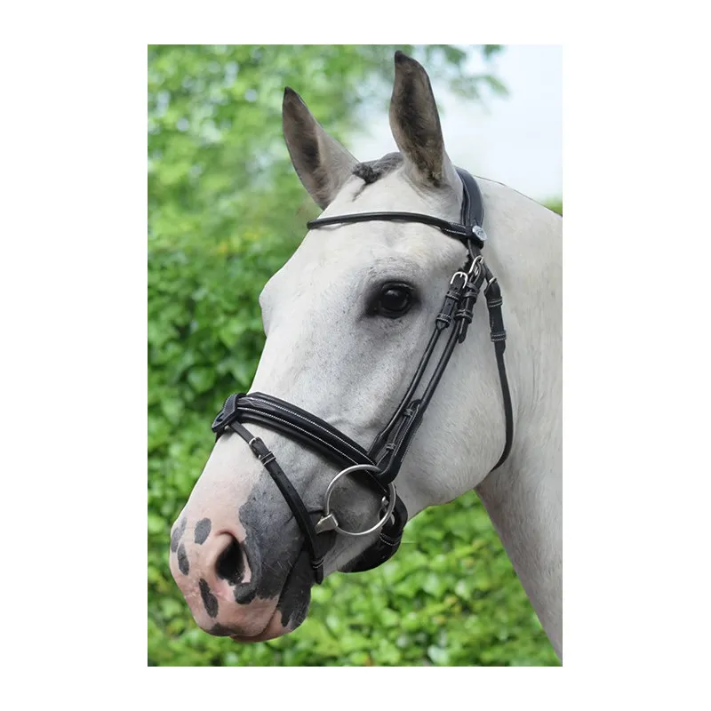 Offre Limite JUMPIN – Bridon Friday – Collection Week – Cheval – Noir