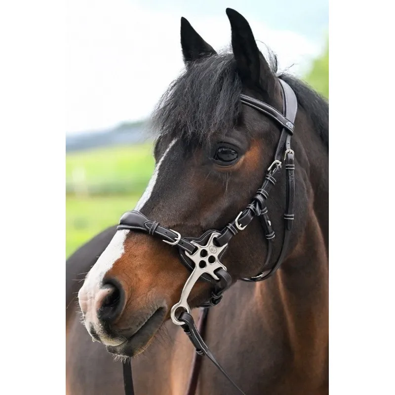 JUMPIN – Bridon Hackamore – Collection Origin – Cob – Noir Rduction