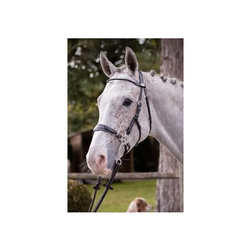 Commande En Gros JUMPIN – Bridon Hackamore – Collection Week – Cheval – Noir