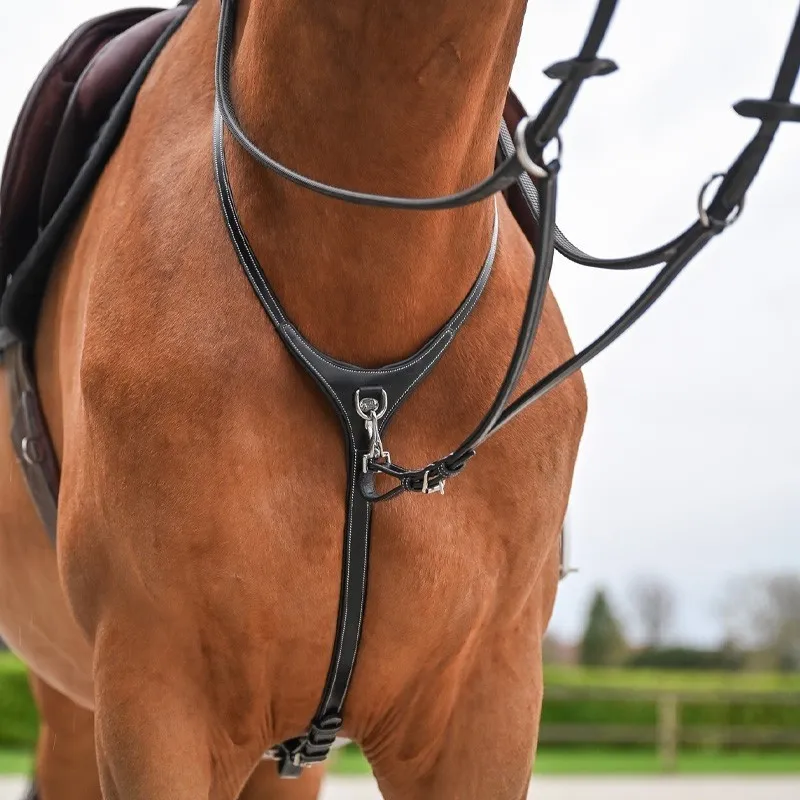 JUMPIN – Collier et martingale amovible surpiqu – Collection Origin – Cob – Noir Retour Gratuit