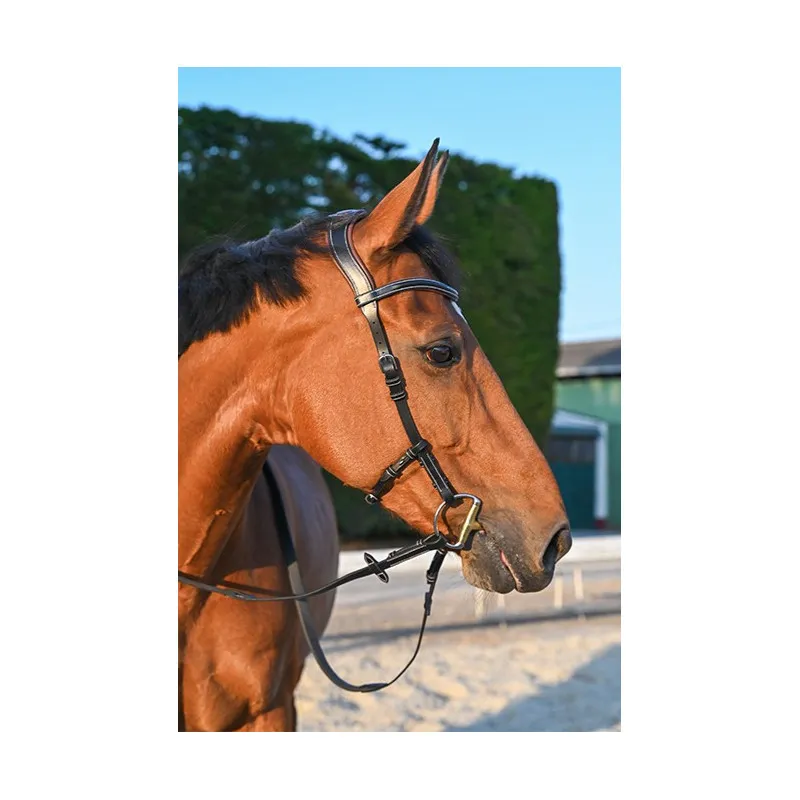 Authentique JUMPIN – Bridon Liberty – Collection One – Cob – Noir