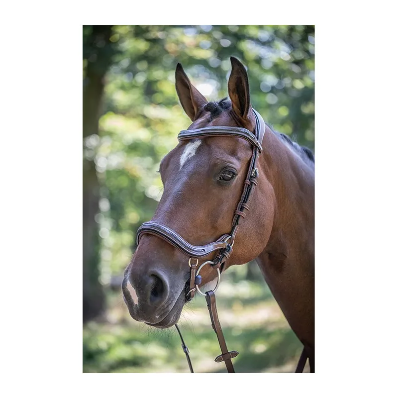 JUMPIN – Bridon Manhattan – Collection One – Cheval – Noisette Prix Cass