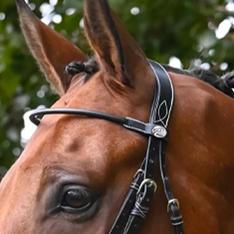 Livraison Gratuite JUMPIN - Frontal Monday - Collection Week - Cheval - Noir