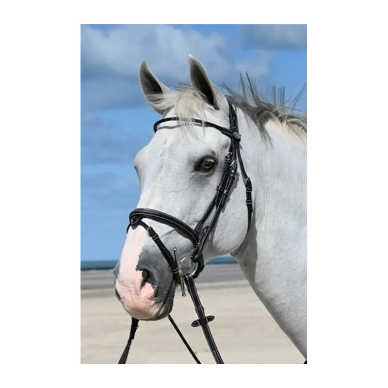 Prix Promo JUMPIN – Bridon Monday muserolle combine – Collection Week – Cob – Noir