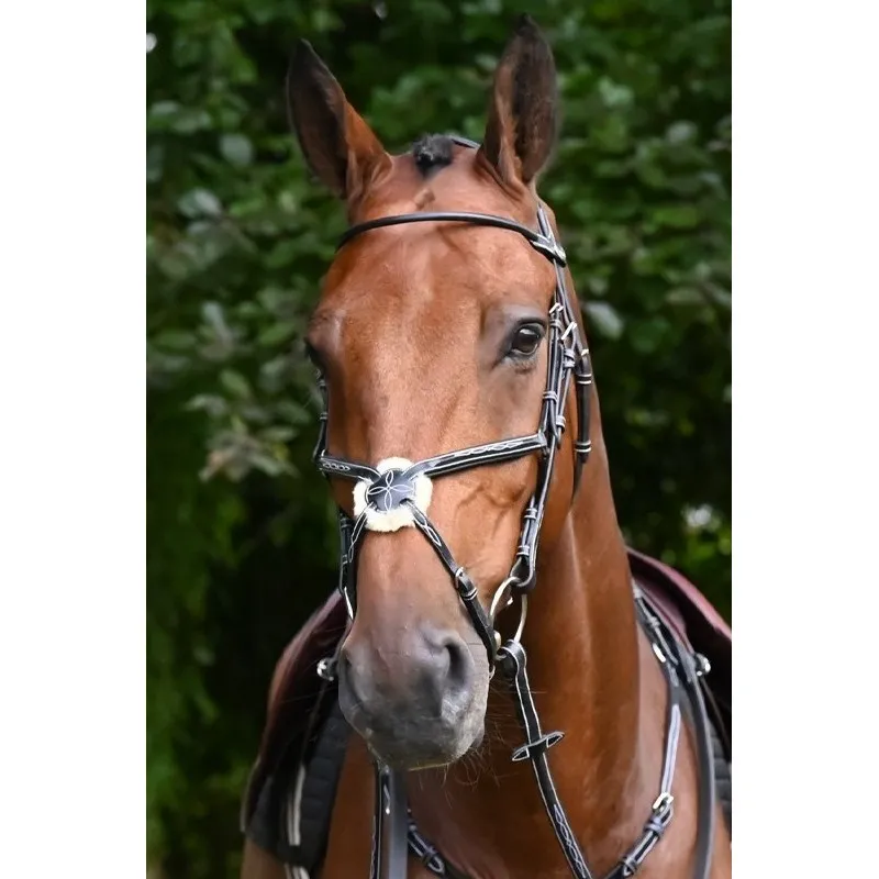JUMPIN – Bridon Monday muserolle croise – Collection Week – Cob – Noir Offre Exclusive