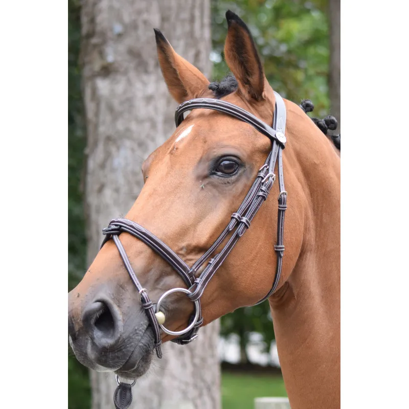 JUMPIN – Bridon Thursday muserolle combine – Collection Week – Cheval – Noir Must-Have