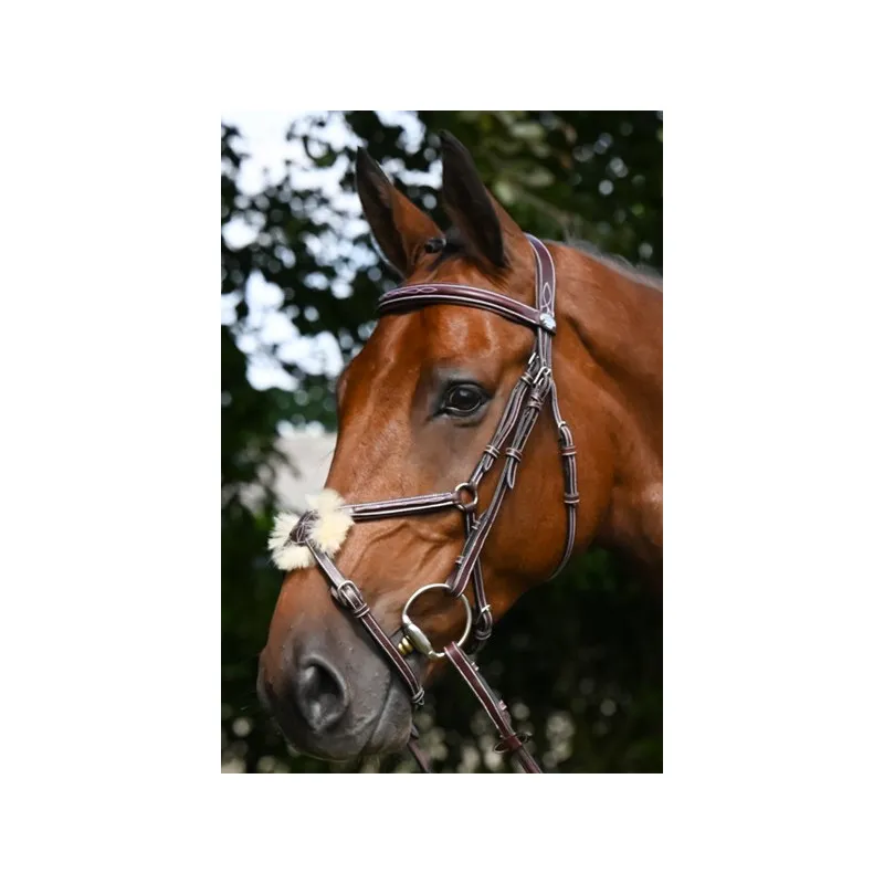 Populaire JUMPIN - Bridon Thursday muserolle croise - Collection Week - Cheval - Noir