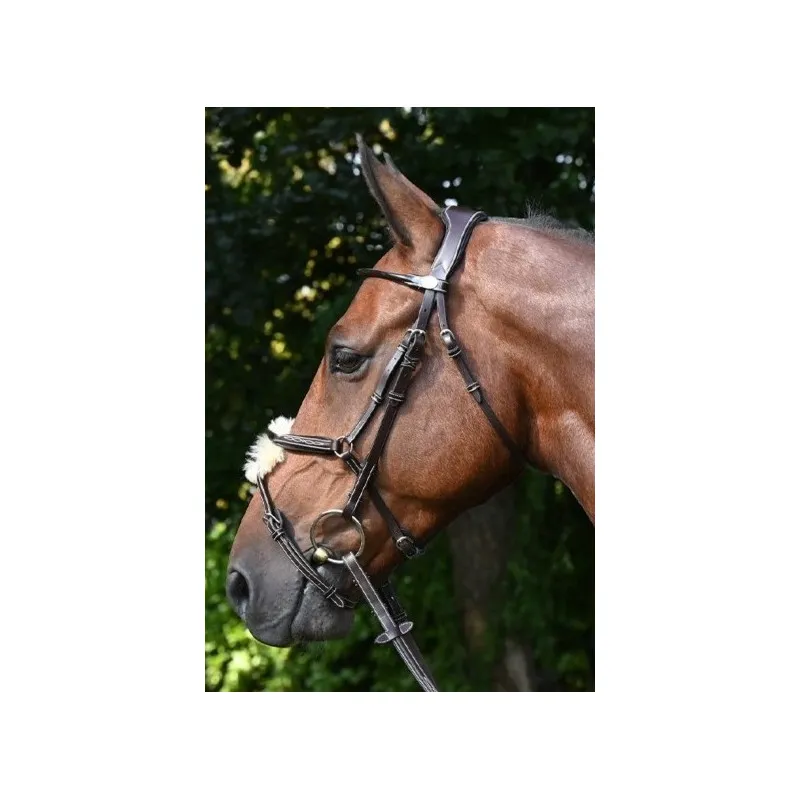 Remise JUMPIN - Bridon Wednesday muserolle croise - Collection Week - Cob - Noir