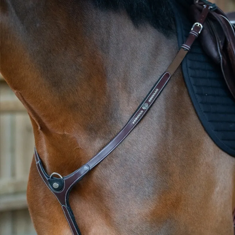 JUMPIN – Collier de chasse Clincher + Martingale – Collection Origin – Cob – Noir Marque