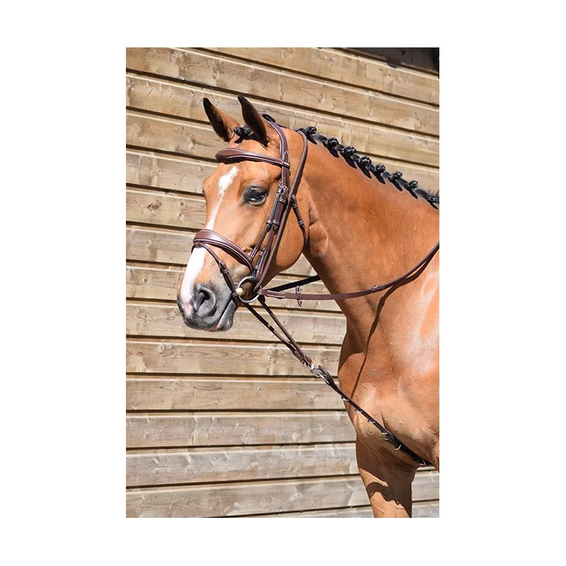 JUMPIN - Enrnement Patrick - Collection One - Cheval - Noir Bon Plan
