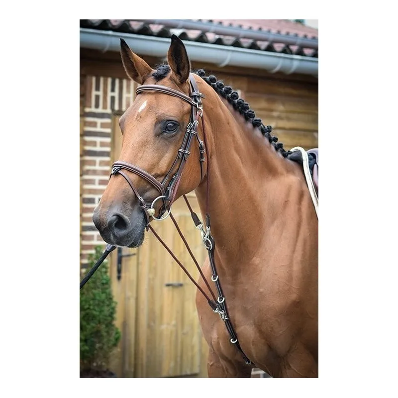 Haute Qualit JUMPIN – Gogue – Collection One – Cheval – Noir