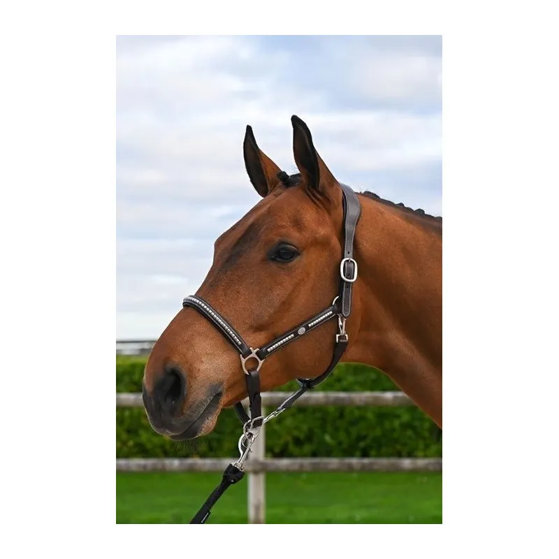 Jusqu puisement Des Stocks JUMPIN - Licol Clincher - Collection Origin - Cob - Noir