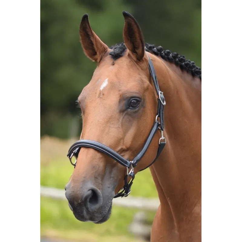 JUMPIN - Licol de pansage - Collection One - Cob - Noir Jusqu puisement Des Stocks
