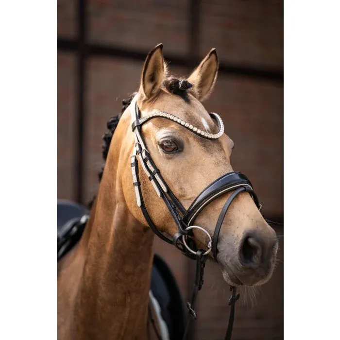 Vente Directe Cabezada Lauria Garrelli Bridle Limone Elegant - Pony