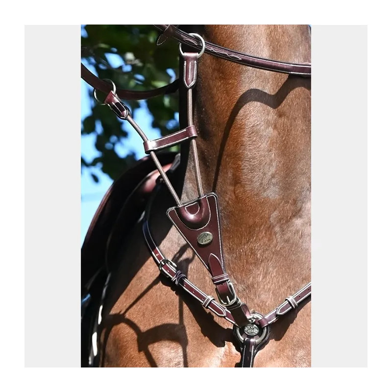 JUMPIN - Martingale lastique de collier - Collection Week - Cheval - Acajou Prix Bas