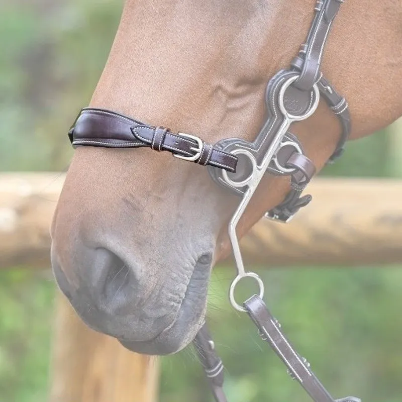 Promotion Saisonnire JUMPIN – Nez d&rsquo;hackamore plomb – Collection Origin – Cheval – Noir