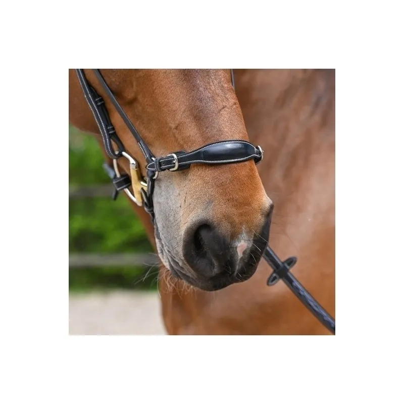 Promotion JUMPIN – Muserolle allemande – Collection Week – Cheval – Noir