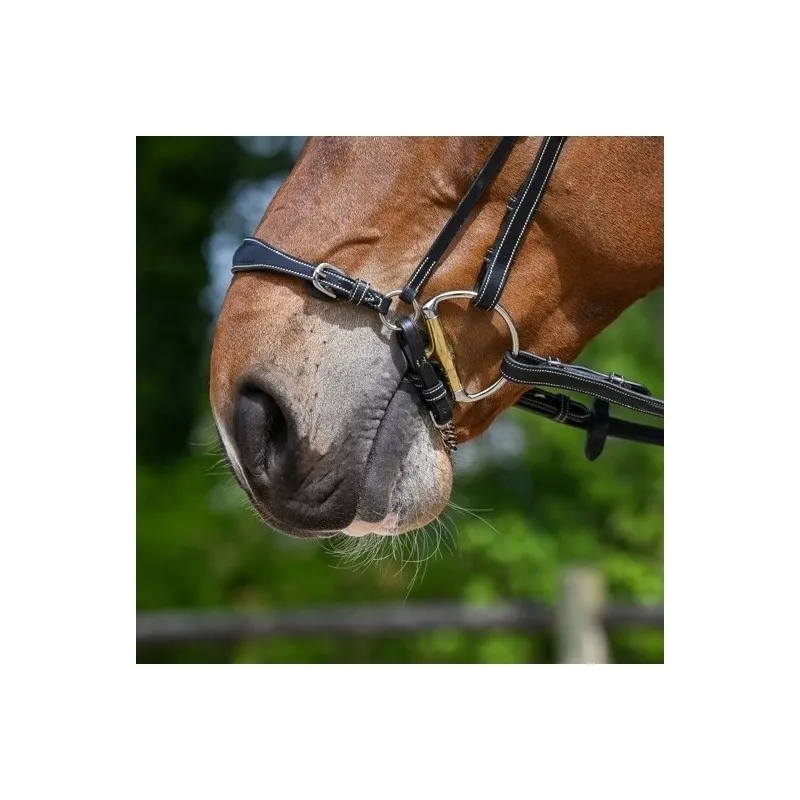 Vente Directe JUMPIN – Muserolle allemande chaine – Collection Week – Cheval – Noir