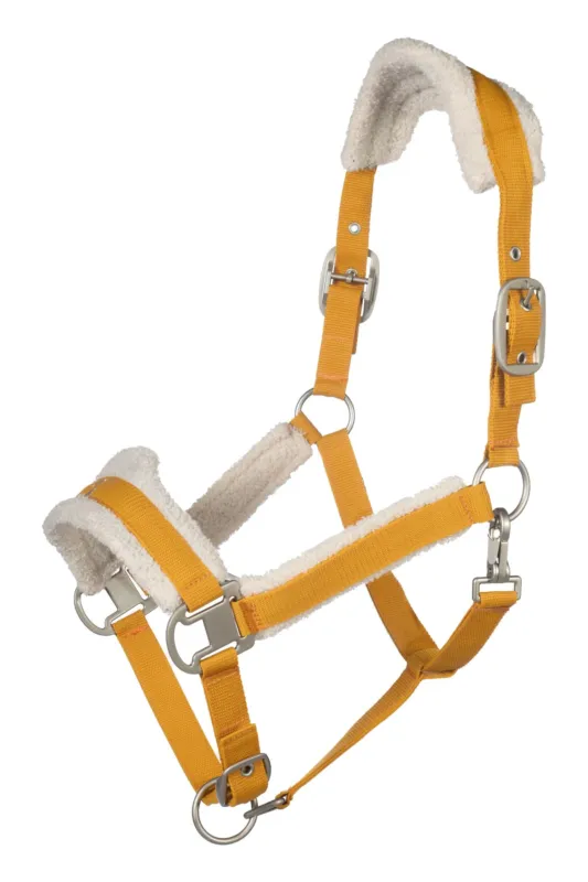 Cabezada de cuadras Lauria Garrelli Head Collar Arezzo – Indigo / Cob Super Prix