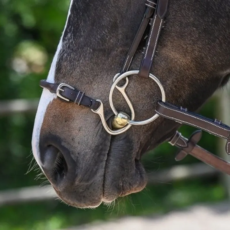 Remise JUMPIN – Muserolle Kineton – Collection Week – Cheval – Noir