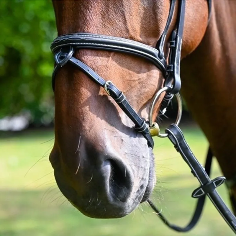 Nouveaut JUMPIN – Muserolle Monday combine – Collection Week – Cheval – Noir