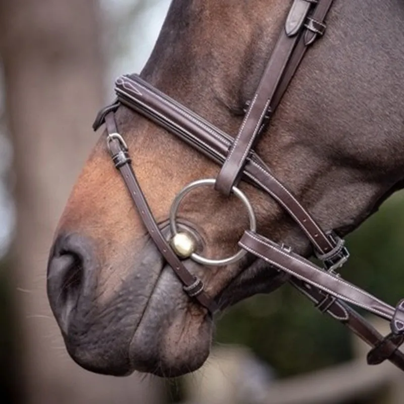 JUMPIN – Muserolle Wednesday combine – Collection Week – Cheval – Noir Marque