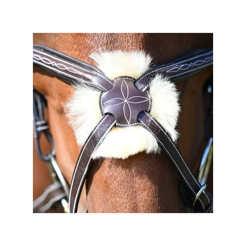 JUMPIN - Muserolle Wednesday croise - Collection Week - Cheval - Noir Quantit Limite