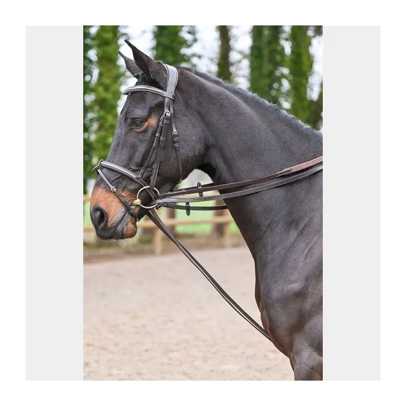 Commande En Gros JUMPIN – Rnes allemandes cuir plat – Collection Week – Cheval – Acajou