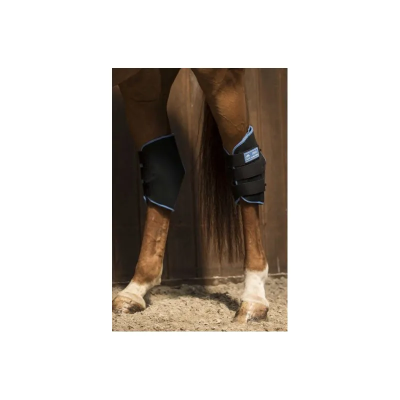LAMI-CELL - Protge-jarrets Ice Boots - Cheval - Noir / Bleu Bon Plan