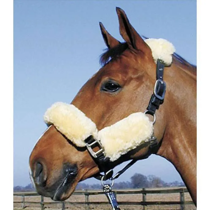 Set licol mouton merinos - Harry's Horse - naturel - cheval (full ) Meilleure Vente