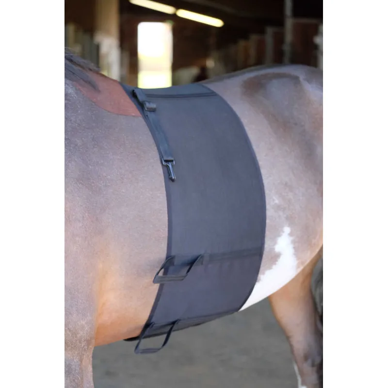 Must-Have NORTON - Bande de respect - S - Noir
