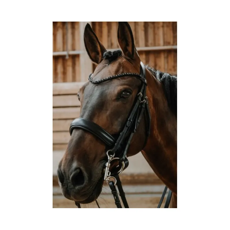 Vente Flash NORTON – Bride Onyx – Cheval – Noir