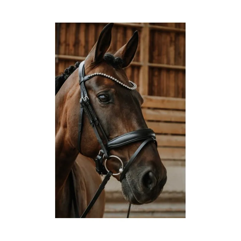 Haute Qualit NORTON - Bridon Diams - Cheval - Noir