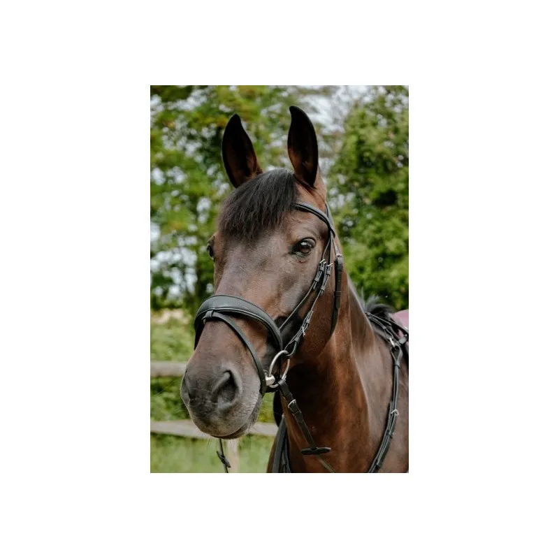 Prix Promo NORTON - Bridon Endurance Pop - Cob - Noir