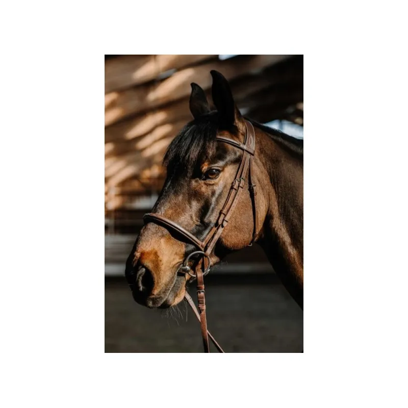 Prix Promo NORTON - Bridon Hunter Comfy - Cob - Havane