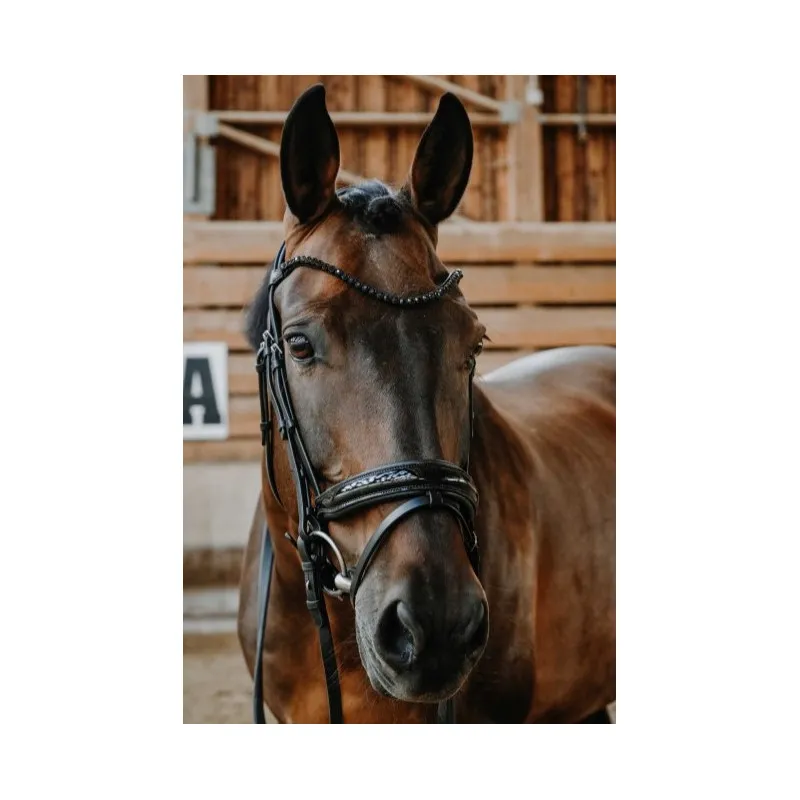 Acheter En Ligne NORTON - Bridon Royal - Cheval - Noir