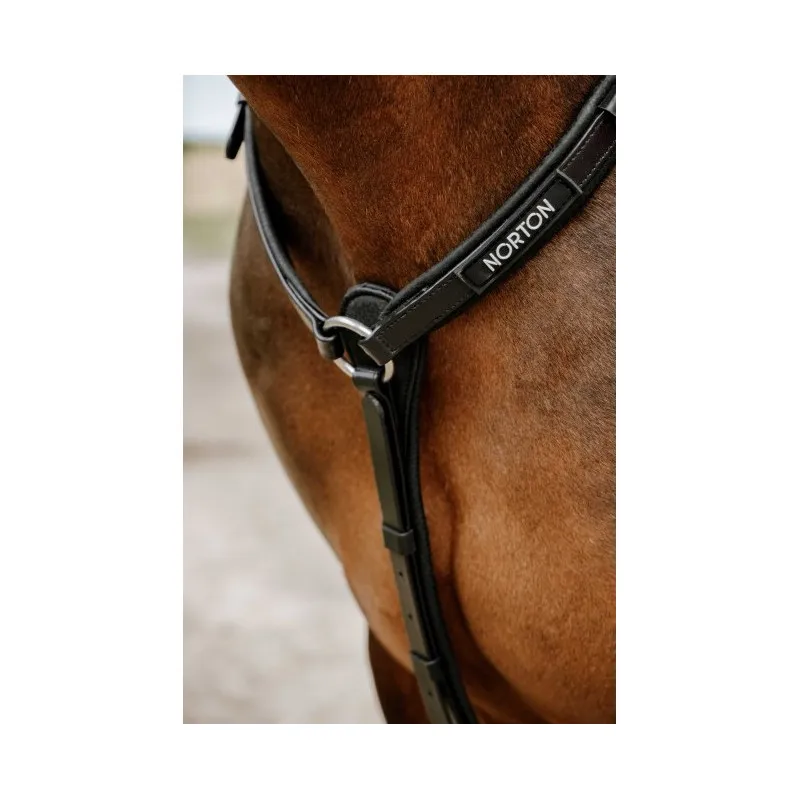 Rduction NORTON - Collier de chasse Endurance Pop - Cob - Noir