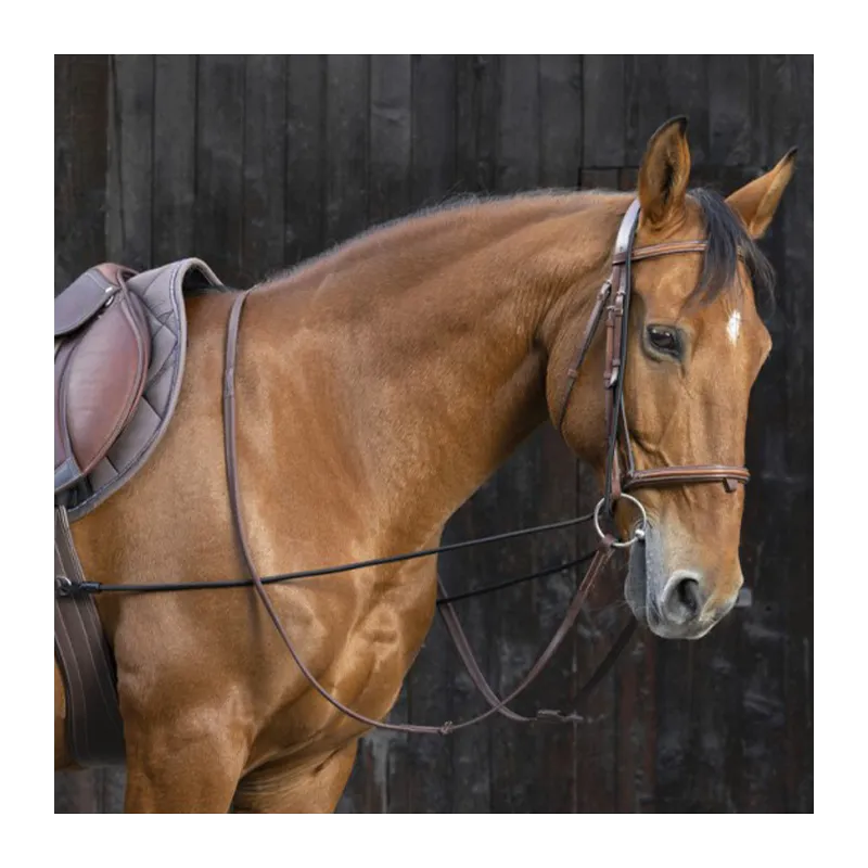 Prix Bas NORTON - Enrnement ducatif long lastique - Cheval - Noir