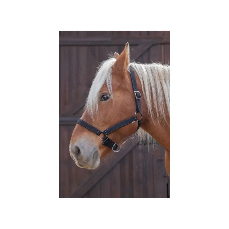 Offre Spciale NORTON - Licol cheval de trait - Cheval de trait - Noir