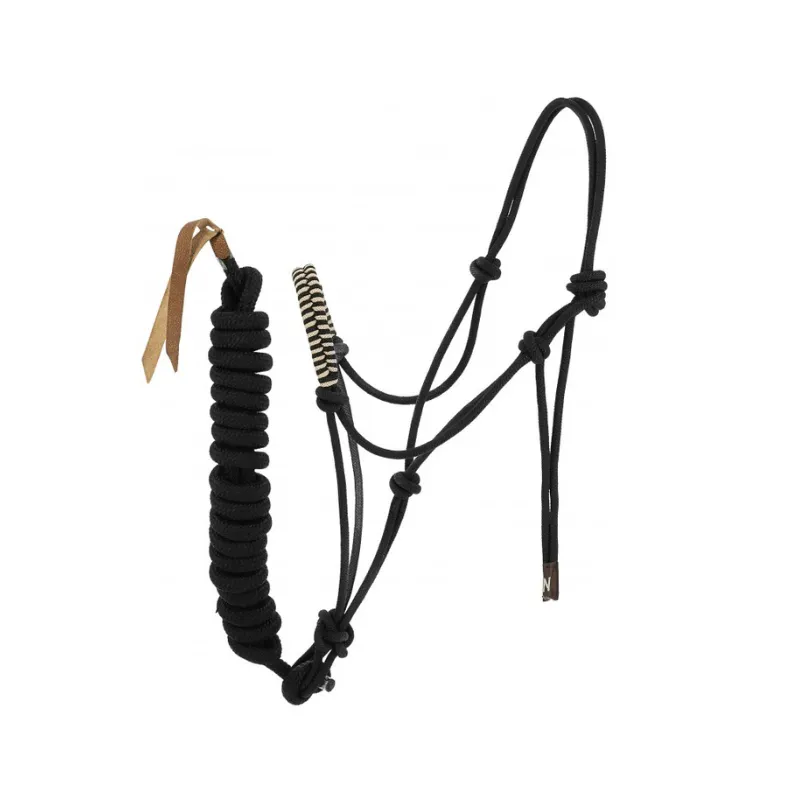 NORTON - Licol thologique + Longe Deco - Cheval - Noir Pas Cher